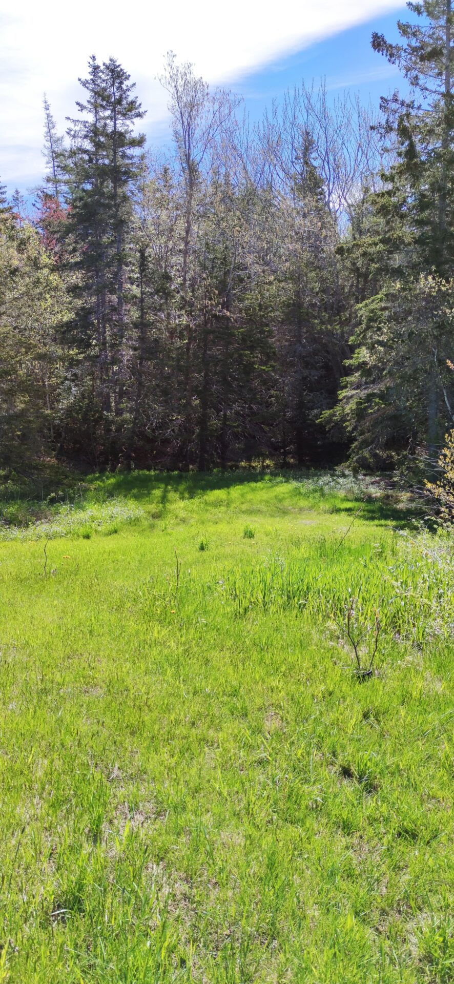 Nut Grove Site CB Camping Rentals Bike Cape Breton